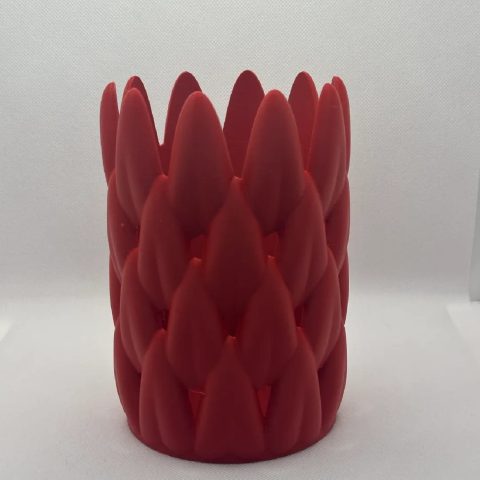 480308216_122108244152758957_8093135378595439083_n